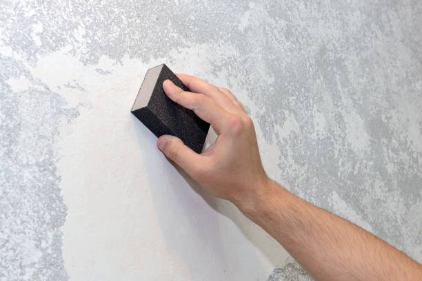 Best Mold Remediation for Healthcare Facilities  in New Tazewell, TN