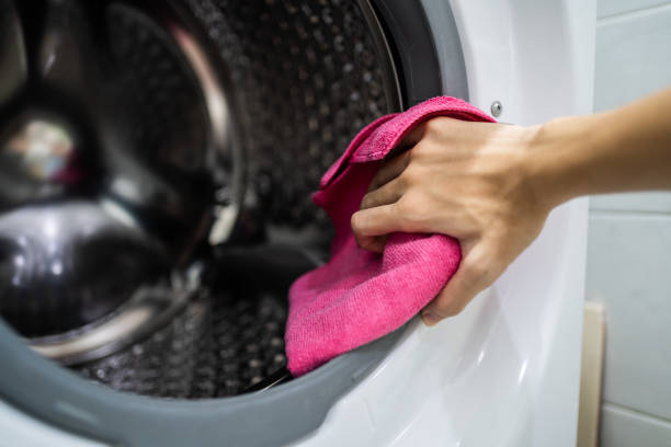 Best Mold Odor Removal Services  in New Tazewell, TN