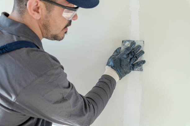 Best Post-Construction Mold Inspection  in New Tazewell, TN
