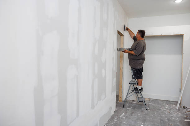 New Tazewell, TN Mold Removal Company