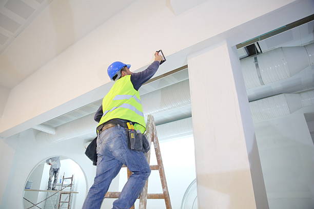 Best Basement Mold Removal  in New Tazewell, TN