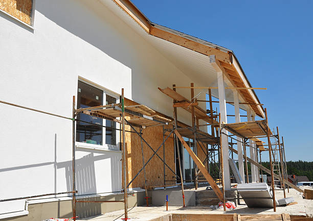  New Tazewell, TN Mold Removal Pros