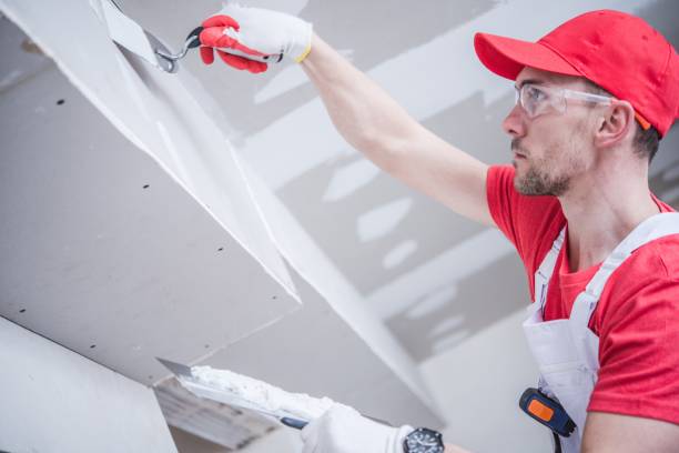 Best Mold Removal for HVAC Installations  in New Tazewell, TN